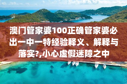 澳门管家婆100正确管家婆必出一中一特经验释义、解释与落实?,小心虚假迷障之中